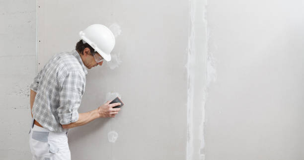 Best Drywall Sanding and Smoothing  in Gary, IN